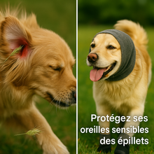 ❄️ Pack Protection 4 Saisons™ – Pattes + Oreilles protégées toute l’année