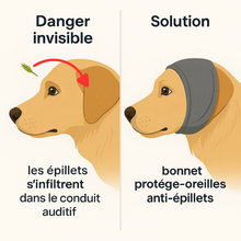 ❄️ Pack Protection 4 Saisons™ – Pattes + Oreilles protégées toute l’année