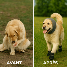 ❄️ Pack Protection 4 Saisons™ – Pattes + Oreilles protégées toute l’année