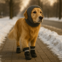 ❄️ Pack Protection 4 Saisons™ – Pattes + Oreilles protégées toute l’année