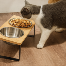 Gamelle Inclinée & Surélevée pour Chat et Chiens – Anti-Vomissements & Digestion Saine