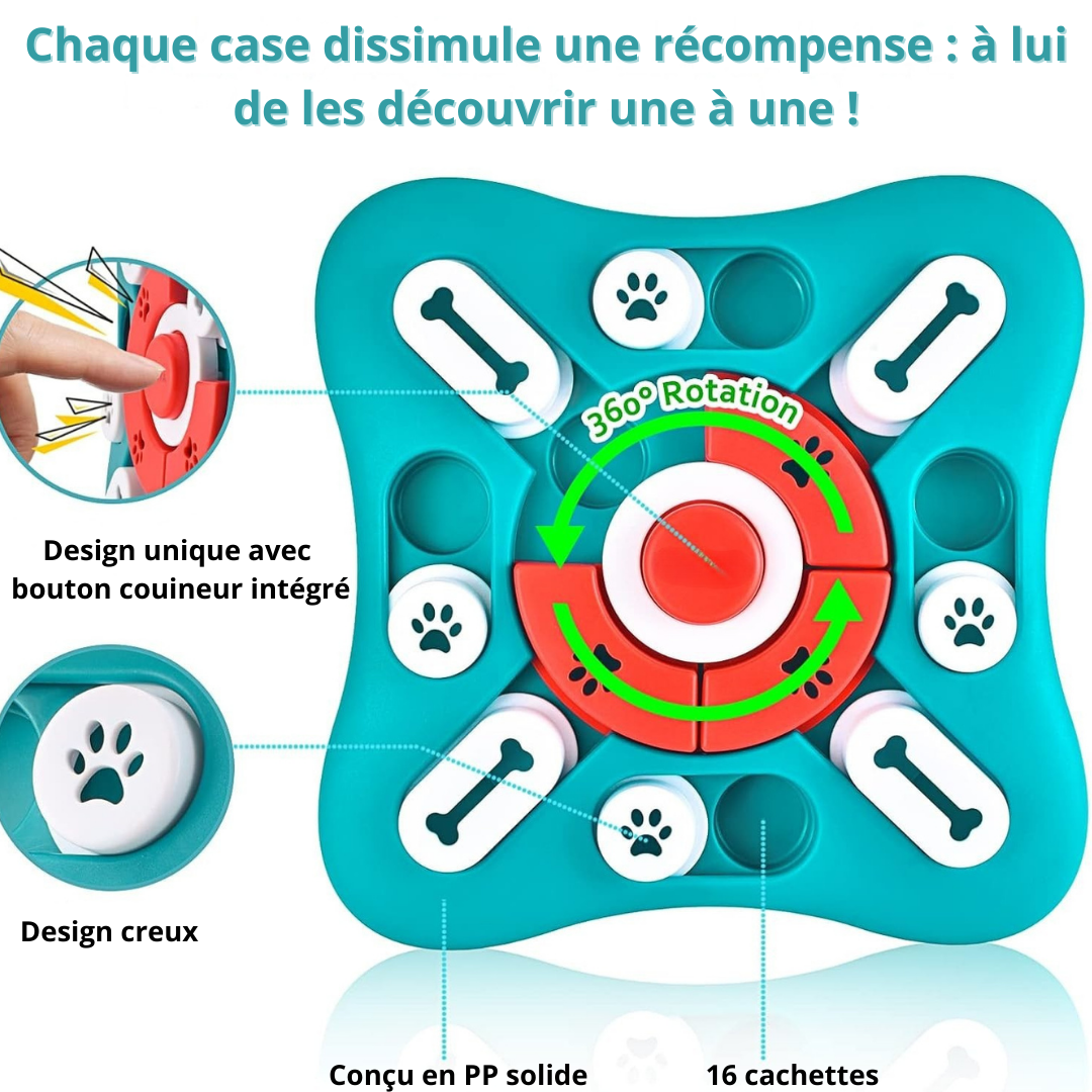 Le jeu qui stimule son esprit et prend soin de sa santé 🐾