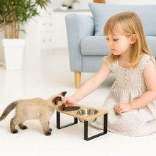 Gamelle Inclinée & Surélevée pour Chat et Chiens – Anti-Vomissements & Digestion Saine