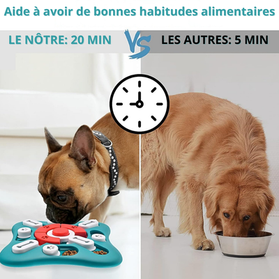Le jeu qui stimule son esprit et prend soin de sa santé 🐾