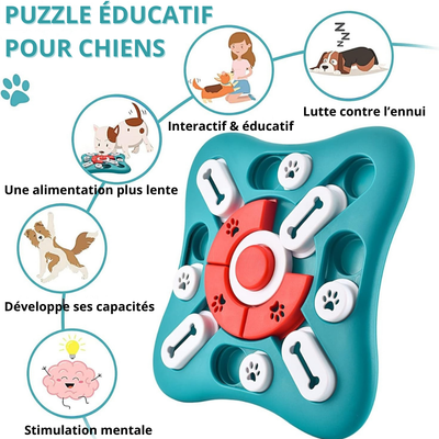 Le jeu qui stimule son esprit et prend soin de sa santé 🐾