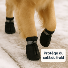 ❄️ Pack Protection 4 Saisons™ – Pattes + Oreilles protégées toute l’année