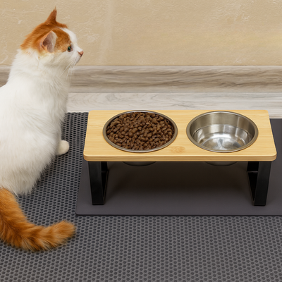 Gamelle Inclinée & Surélevée pour Chat et Chiens – Anti-Vomissements & Digestion Saine