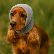 ❄️ Pack Protection 4 Saisons™ – Pattes + Oreilles protégées toute l’année