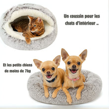 CocoonZen™ – Le Coussin Apaisant 2-en-1 pour Chats