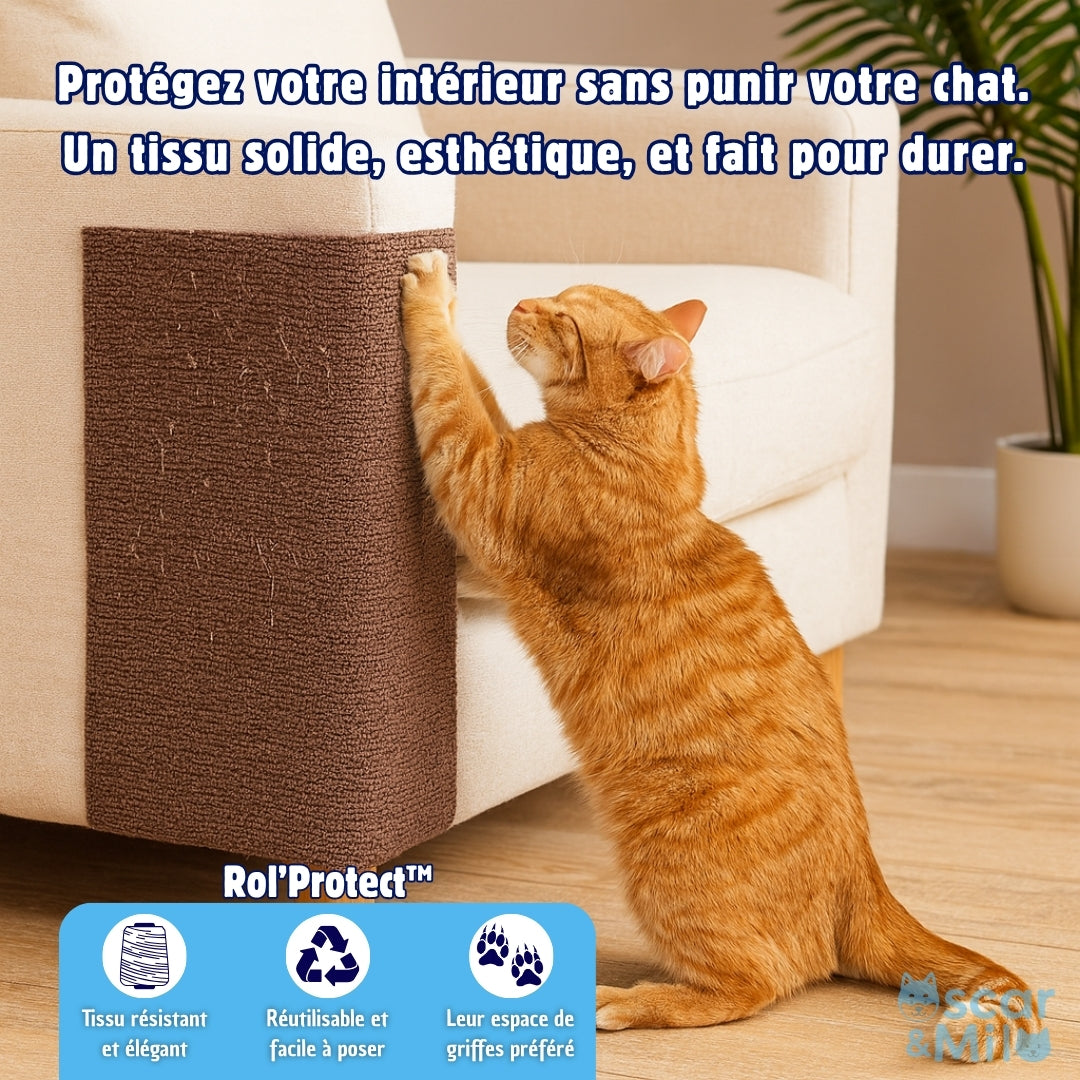 Chat griffant le Rol'Protect au lieu du canapé