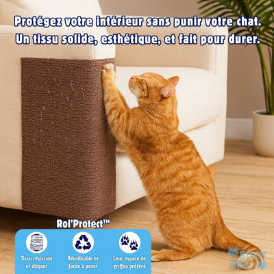 Chat griffant le Rol'Protect au lieu du canapé