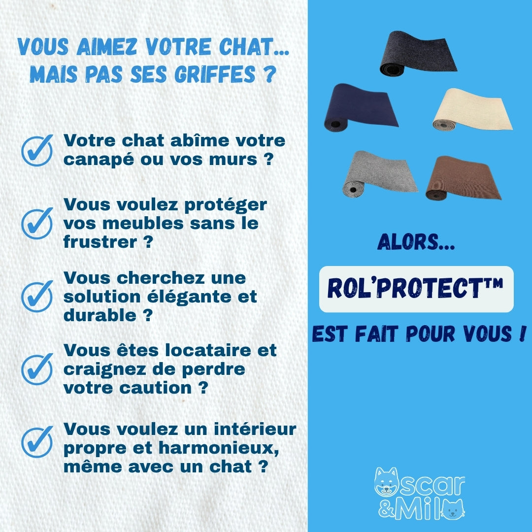 Description des problèmes de propriétaires de chats qui griffes partout