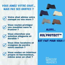 Description des problèmes de propriétaires de chats qui griffes partout