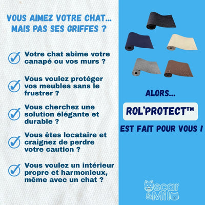 Description des problèmes de propriétaires de chats qui griffes partout