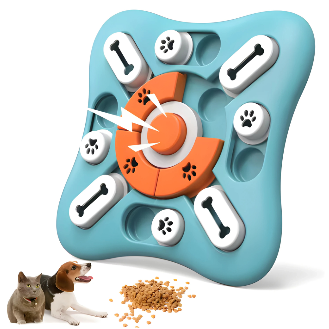 Le jeu qui stimule son esprit et prend soin de sa santé 🐾