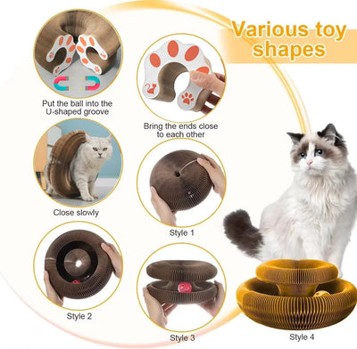 Jeu spiral pour chats