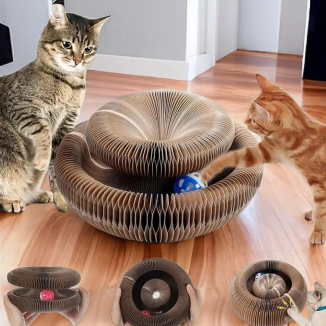 Jeu spiral pour chats