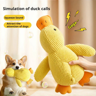 Jeux canard pour chiens