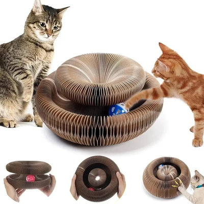 Jeu spiral pour chats