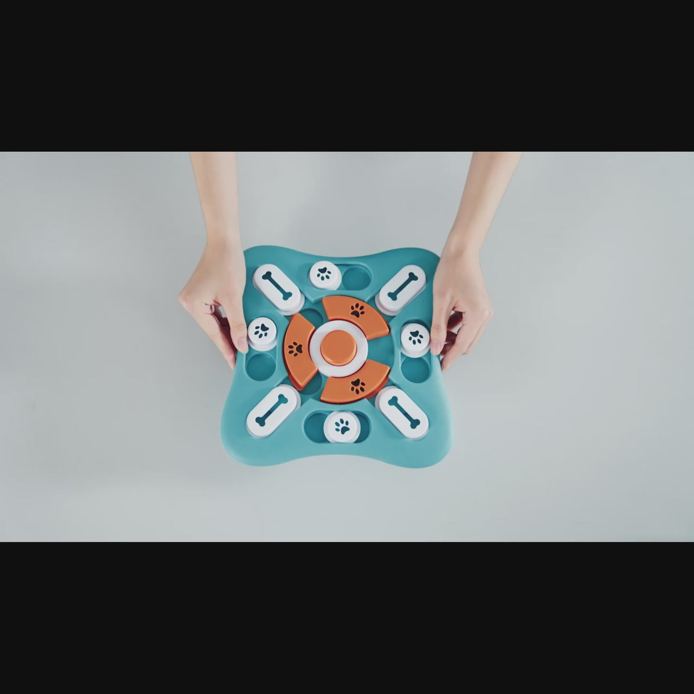 Le jeu qui stimule son esprit et prend soin de sa santé 🐾