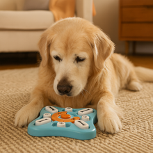 Le jeu qui stimule son esprit et prend soin de sa santé 🐾